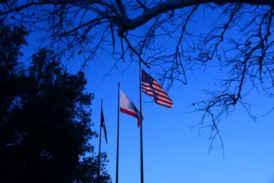 DSC_1168 (Large).JPG